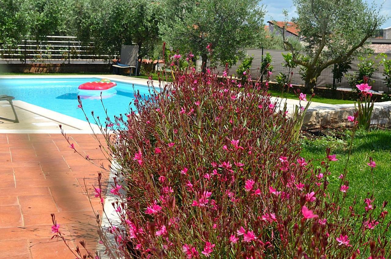 Holiday Home Sverko Novigrad  Bagian luar foto